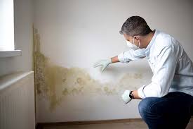 Best Forensic Mold Investigation  in Tracy, CA